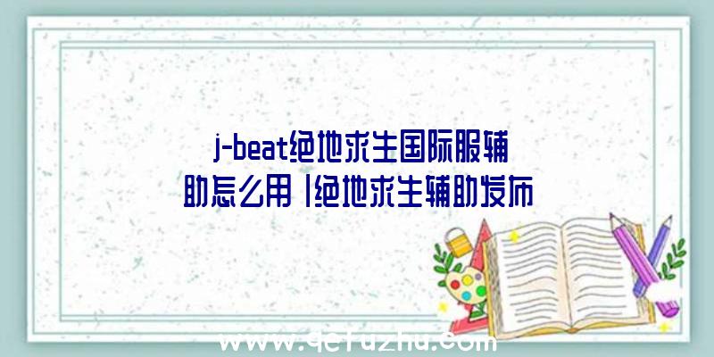 「j-beat绝地求生国际服辅助怎么用」|绝地求生辅助发布